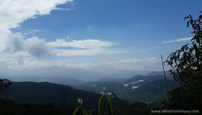 no guide hike cameron highlands