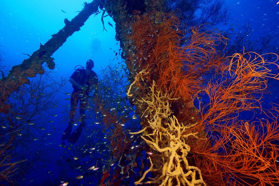 Diving through shipwrecks