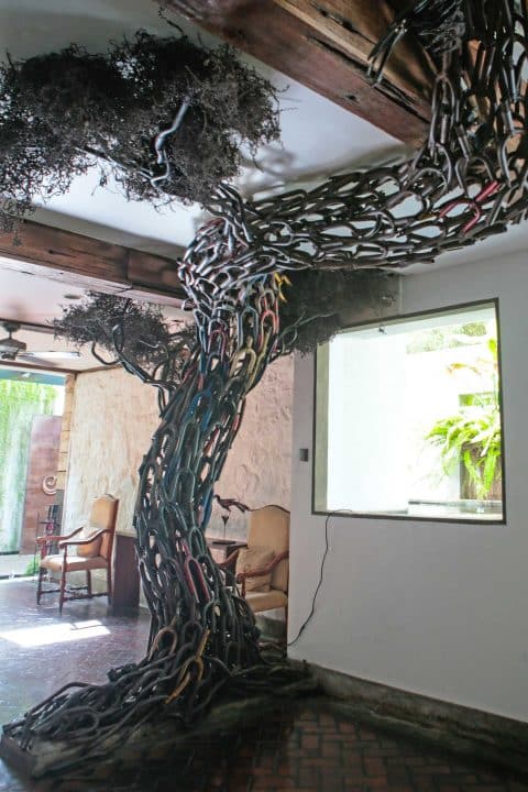 colombo-tree