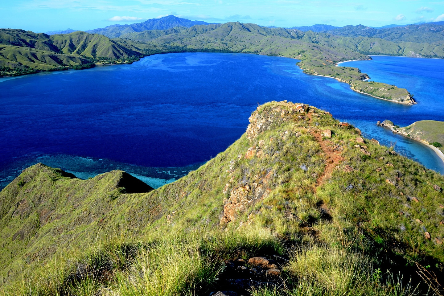 best liveaboard komodo national park
