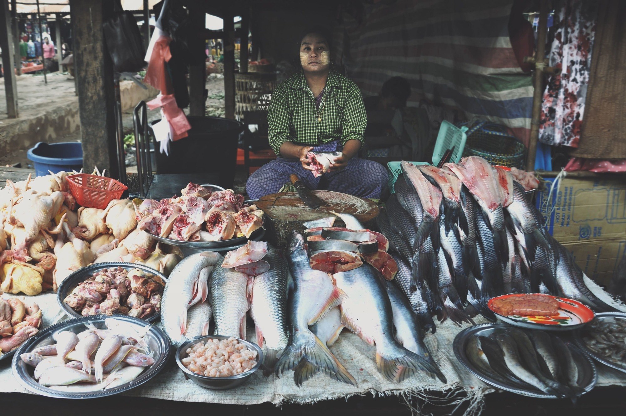 man sitting in front of fish in myanmar