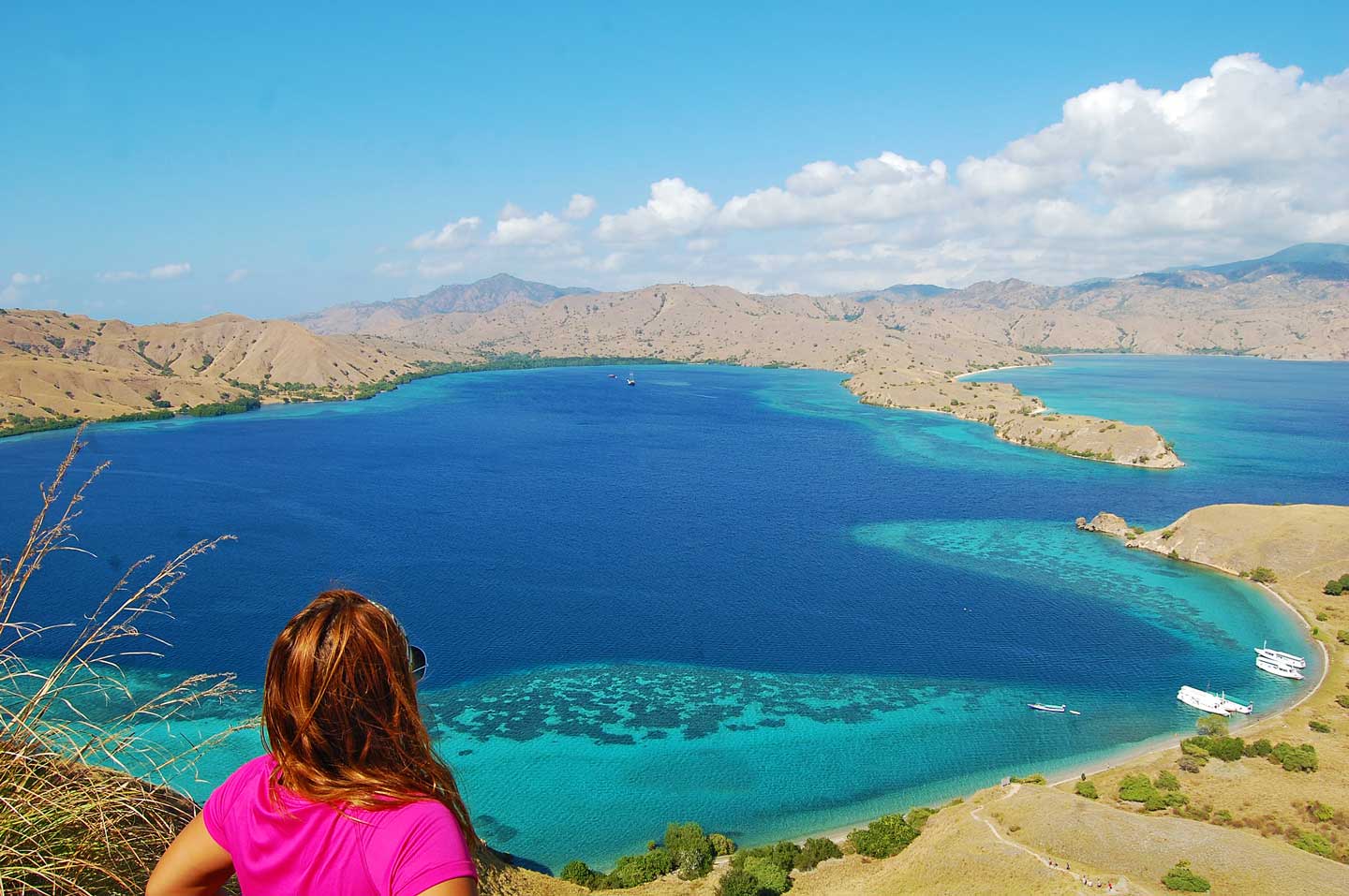 Komodo-Island