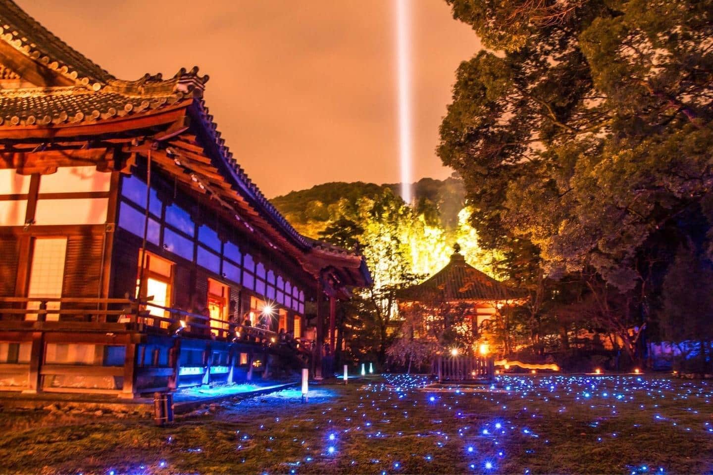shoren-in temple, kyoto
