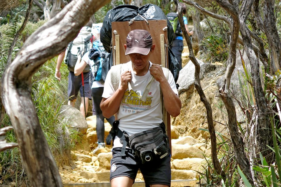 trekking mount kinabalu