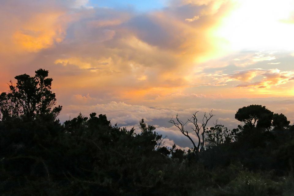 trekking mount kinabalu