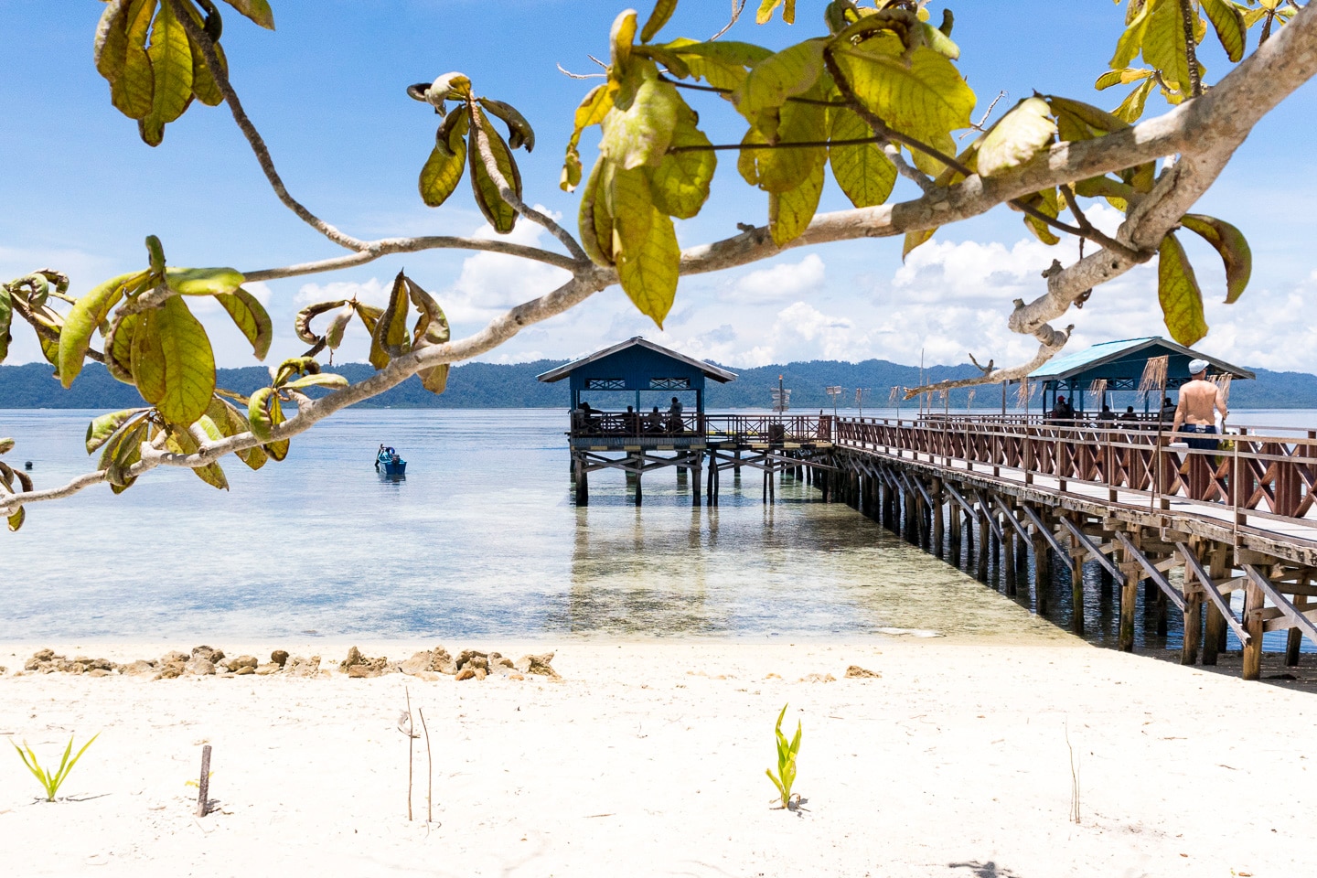 Jetty to beach in Raja Ampat, Indonesia
