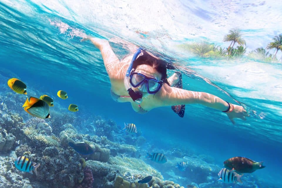 snorkel-phiphi