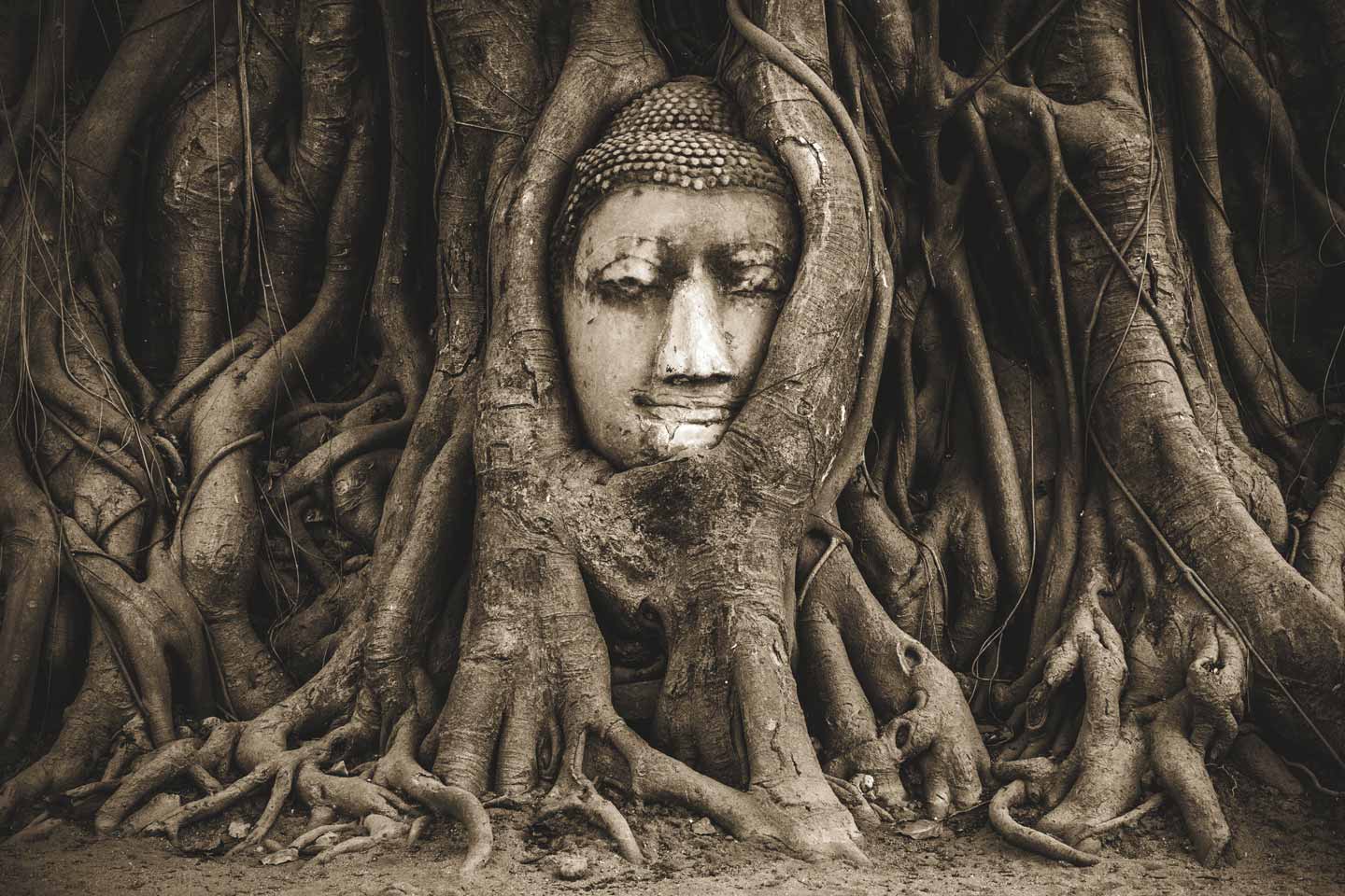 thailand-bucketlist-ayutthaya