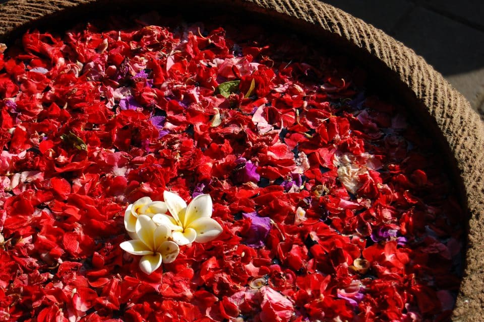 Flower petals, Ubud, Bali